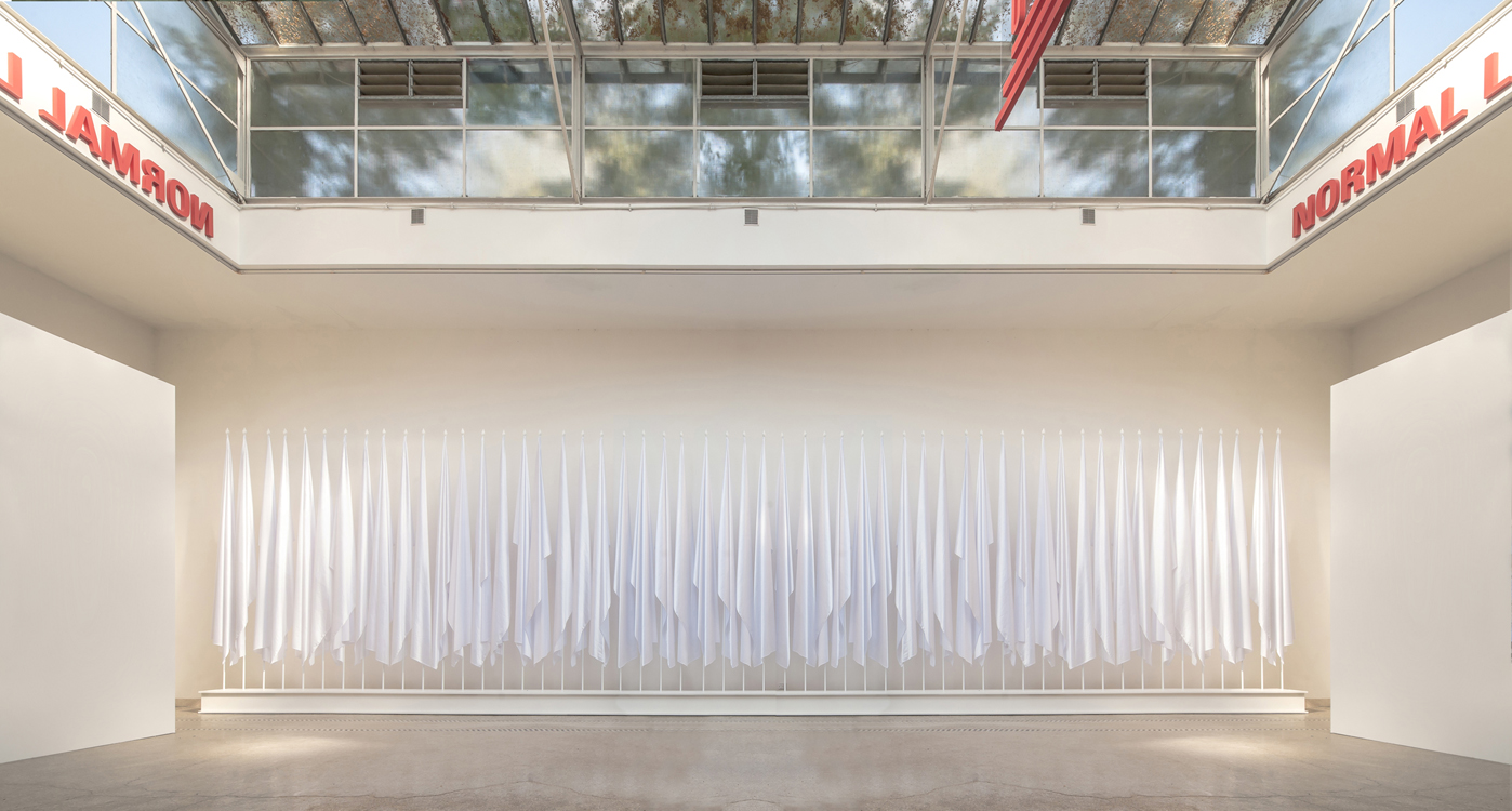 http://www.andresflajszer.com/files/gimgs/156_img2158-64-6550-andres-flajszer-venice-biennale-2018-foxis-copy.jpg