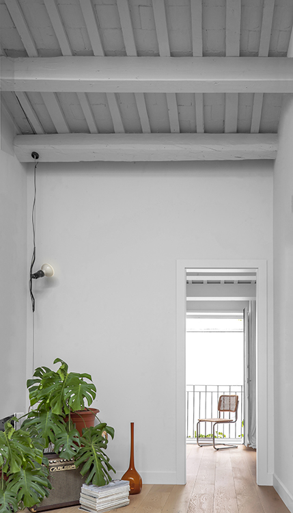 http://www.andresflajszer.com/files/gimgs/165_40-img8450-51-58-59-4050-andres-flajszer-oia-pursals-canet-sarria-copy-750.jpg