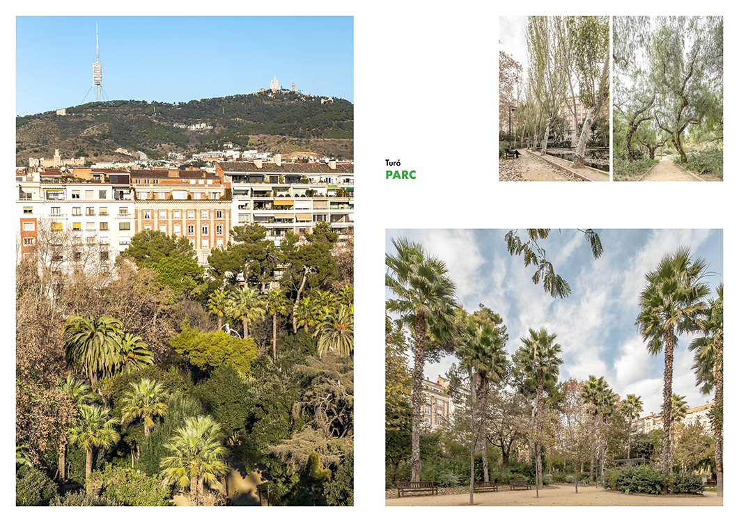 http://www.andresflajszer.com/files/gimgs/65_corredors-verds-collserola-montjuic-andres-flajszer-0014-750.jpg